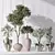 Evergreen Olive Tree Indoor Decor 3D model small image 2