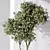 Evergreen Olive Tree Indoor Decor 3D model small image 5