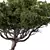 Contemporary Acacia Tree Sculpture 3D model small image 3