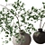 3D Branches in Vase Model 3D model small image 2