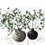 3D Branches in Vase Model 3D model small image 13