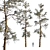 Winter Pine Trees in Snow 3D model small image 2