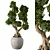 Zen Bonsai Tree Plant Sculpture 3D model small image 1