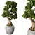 Zen Bonsai Tree Plant Sculpture 3D model small image 2