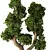 Zen Bonsai Tree Plant Sculpture 3D model small image 3