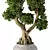 Zen Bonsai Tree Plant Sculpture 3D model small image 4