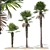 Trachycarpus fortunei Palm Tree Models 3D model small image 1