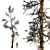 Snowy Pine Trio Display 3D model small image 2