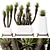 Luxury Yucca Plant Trio Set 3D model small image 1