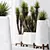 Luxury Yucca Plant Trio Set 3D model small image 4