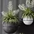 Yucca Plant Vase Set Outdoor 3D model small image 3