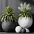 Yucca Plant Vase Set Outdoor 3D model small image 4