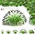 Black Beauty Pennisetum Decorative Grasses 3D model small image 1