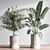  Modern Indoor Plant Set 3D model small image 4