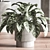  Modern Indoor Plant Set 3D model small image 5