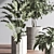  Modern Indoor Plant Set 3D model small image 7