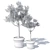 Potted Olive Tree Duo Set 3D model small image 6