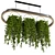 Hanging Plants Set for 3dsMax 3D model small image 1