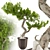 Max 2015 Bonsai Set UV Unwrap 3D model small image 2