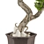 Max 2015 Bonsai Set UV Unwrap 3D model small image 3