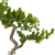 Max 2015 Bonsai Set UV Unwrap 3D model small image 5