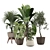 Modern Indoor Plant 3D Model 3D model small image 1