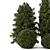 Outdoor Pine Tree Bush Model 3D model small image 2