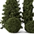 Outdoor Pine Tree Bush Model 3D model small image 4