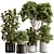 Botanical Elegance: Indoor Tree Display 3D model small image 1