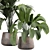 Stylish Indoor Plant 3D Model 3D model small image 2