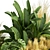 Premium Plant Collection Vol.539 3D model small image 3