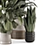 Bau Pot Large: Indoor Greenery 3D model small image 5