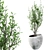 Concrete and Plaster Potted Live Plant 3D model small image 1