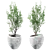 Concrete and Plaster Potted Live Plant 3D model small image 2