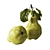 Premium Realistic Pears with Leaves 3D model small image 4