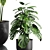 Vibrant Indoor Plants Collection 3D model small image 4