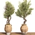 Modern Indoor Plant Set 3D 3D model small image 5