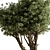 Potted Tree: Indoor Plant 619 3D model small image 2