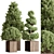 Plum Pines Outdoor Plant 3D model small image 1