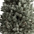 Rocky Mountain Fir Set 267 3D model small image 2