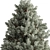 Rocky Mountain Fir Set 267 3D model small image 3