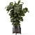 Modern Indoor Plant Wood Stone Set 3D model small image 3