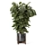 Modern Indoor Plant Wood Stone Set 3D model small image 4