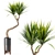 
Yucca Indoor Plant 3D Model 3D model small image 1