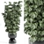 Modern Indoor Plant Set 71 3D model small image 1