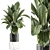 Custom Indoor Plant Set 3D 3D model small image 1