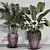 Indoor Variety Plant Set 3D model small image 2