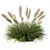 Wild Grassland Pampas No.12 3D model small image 1