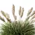 Wild Grassland Pampas No.12 3D model small image 2