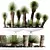 Hybrid Yucca Mexico Set01 Beauty 3D model small image 1